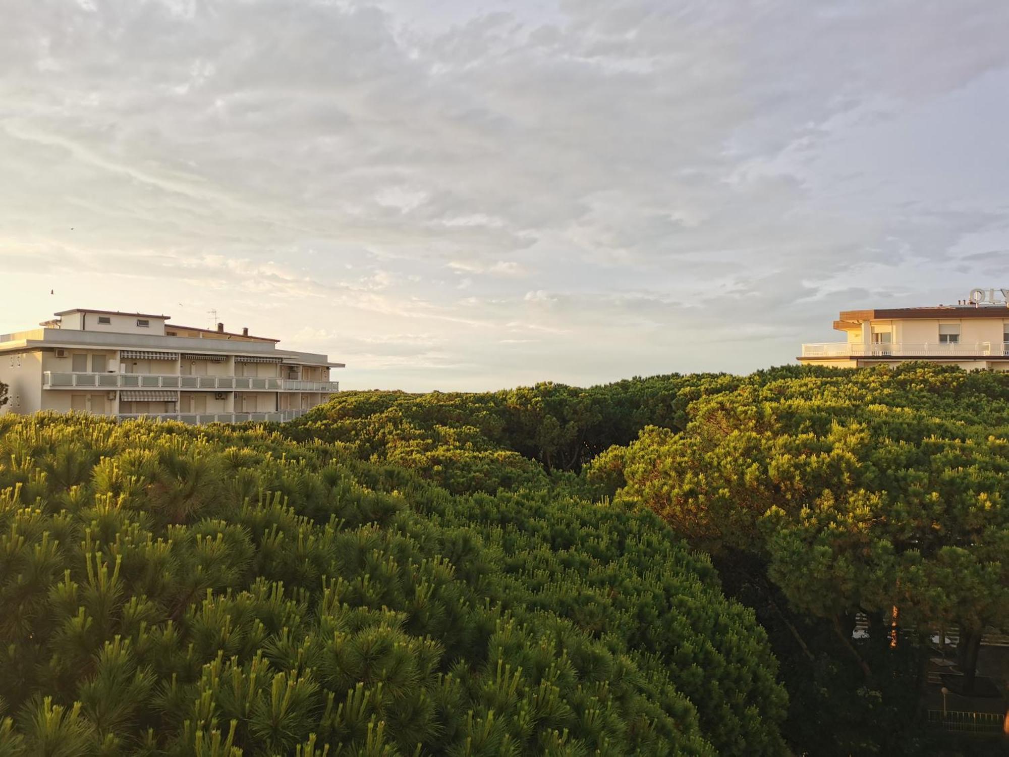 Hotel Pine Beach Rosolina Mare Extérieur photo